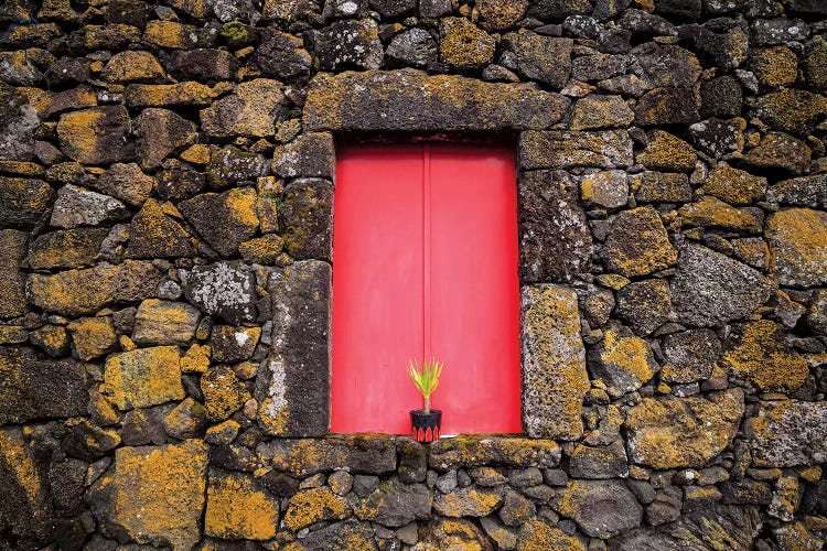 Portugal, Azores, Pico Island, Madalena. Red doors on barn