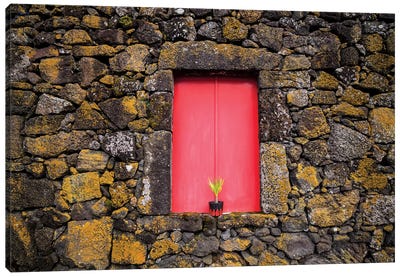 Portugal, Azores, Pico Island, Madalena. Red doors on barn Canvas Art Print