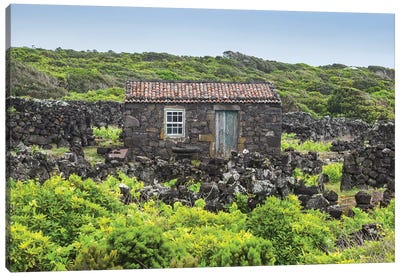 Portugal, Azores, Pico Island, Porto Cachorro. Old fishing community set in volcanic rock buildings Canvas Art Print - Portugal Art