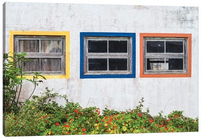 Portugal, Azores, Santa Maria Island, Anjos. Windows of the old factory Canvas Art Print