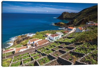 Portugal, Azores, Santa Maria Island, Maia. Elevated view of town and volcanic rock vineyards Canvas Art Print - Portugal Art