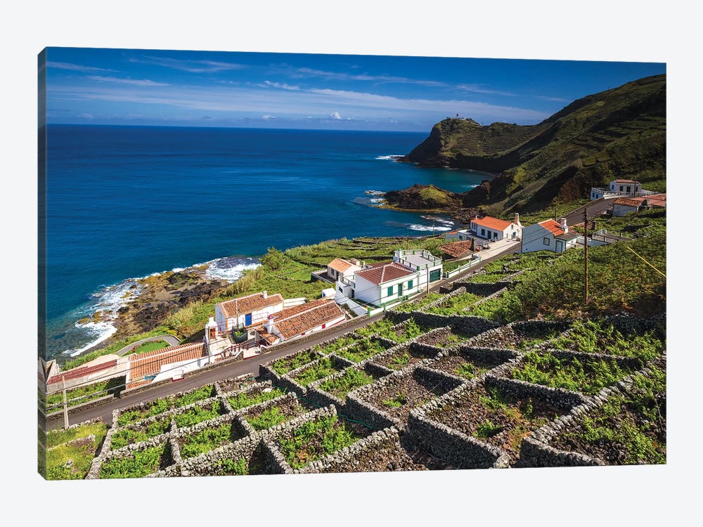 Portugal, Azores, Santa Maria Island, Maia. Elevated view of town and volcanic rock vineyards by Walter Bibikow 1-piece Canvas Print