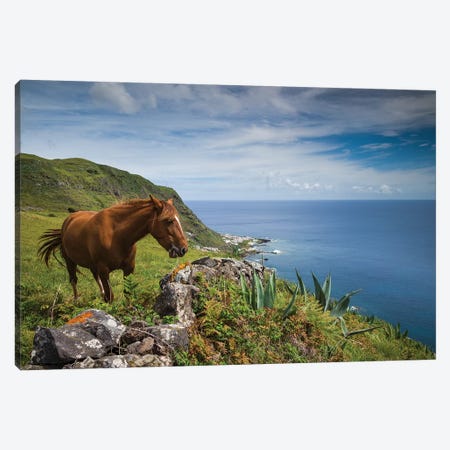 Portugal, Azores, Santa Maria Island, Maia. Horse in coastal pasture Canvas Print #WBI171} by Walter Bibikow Canvas Art