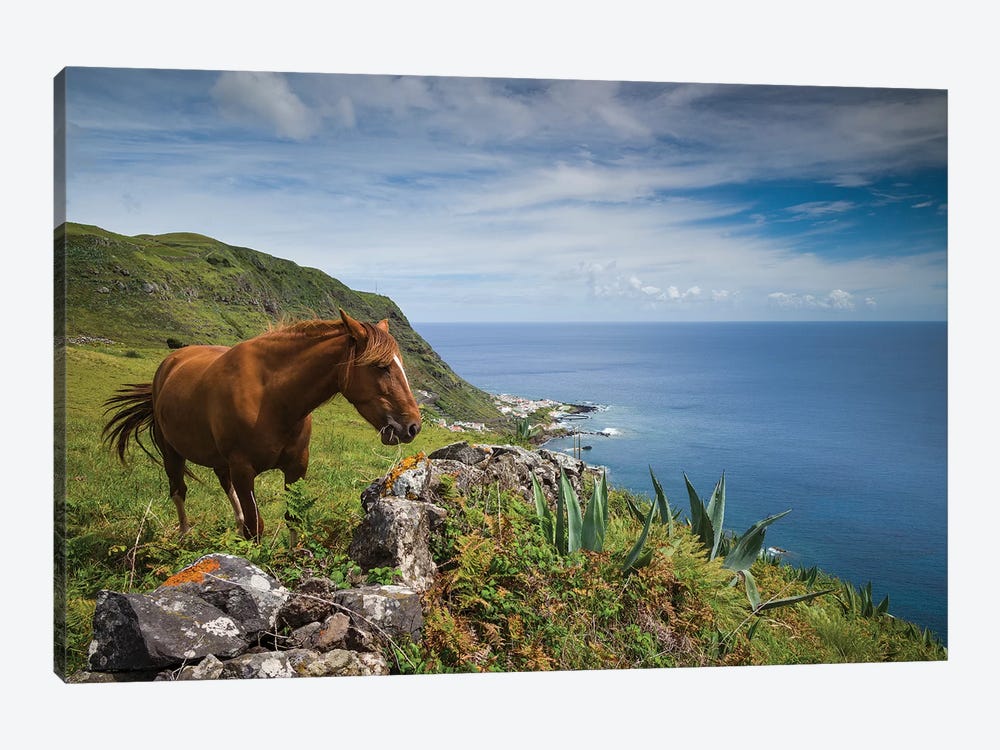 Portugal, Azores, Santa Maria Island, Maia. Horse in coastal pasture by Walter Bibikow 1-piece Canvas Wall Art