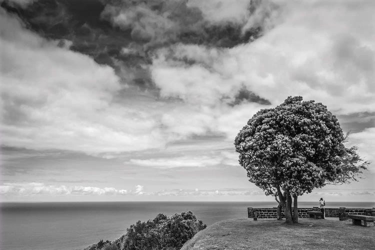 Portugal, Azores, Sao Miguel Island, Baia de Santa Iria. Miradouro de Santa Iria by Walter Bibikow wall art