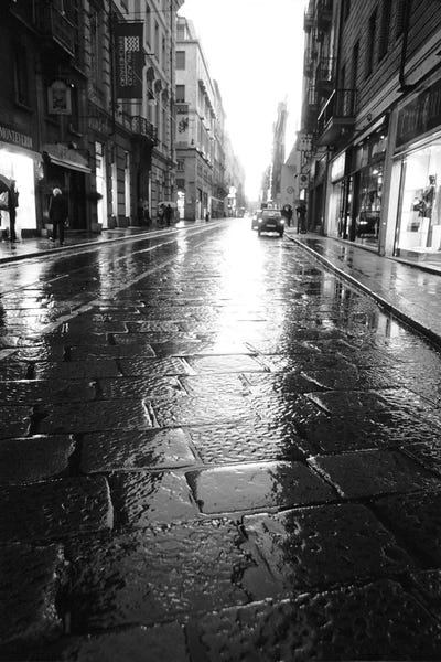 Wet Street At Night, Turin, Piedmont Region, Italy by Walter Bibikow art print
