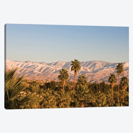 USA, California, Palm Springs. Palms and San Bernardino Mountains, sunrise. Canvas Print #WBI183} by Walter Bibikow Canvas Art Print