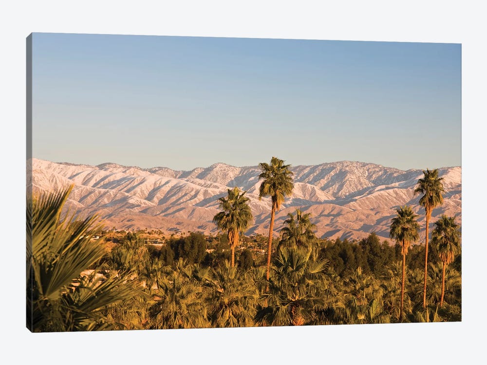USA, California, Palm Springs. Palms and San Bernardino Mountains, sunrise. by Walter Bibikow 1-piece Canvas Art Print