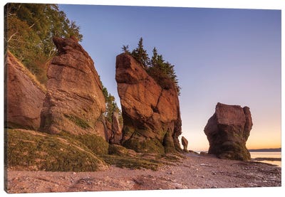 Canada, New Brunswick, Hopewell Rocks. Flowerpot Rocks formed by the great tides of the Bay of Fundy. Canvas Art Print - Walter Bibikow