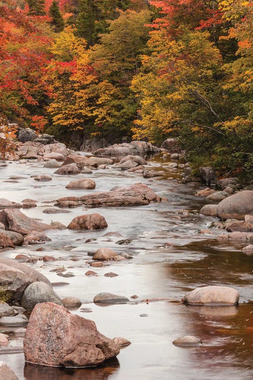 Canada, Nova Scotia, Cabot Trail. Neils Harbour, Cape Breton Highlands National Park, small stream in autumn.