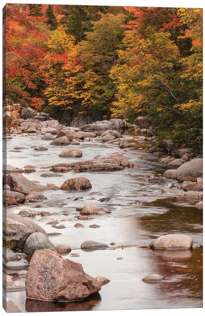 Canada, Nova Scotia, Cabot Trail. Neils Harbour, Cape Breton Highlands National Park, small stream in autumn. Canvas Art Print - Nova Scotia