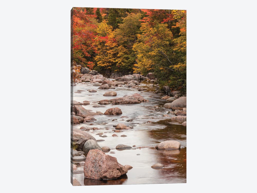 Canada, Nova Scotia, Cabot Trail. Neils Harbour, Cape Breton Highlands National Park, small stream in autumn. by Walter Bibikow 1-piece Canvas Artwork