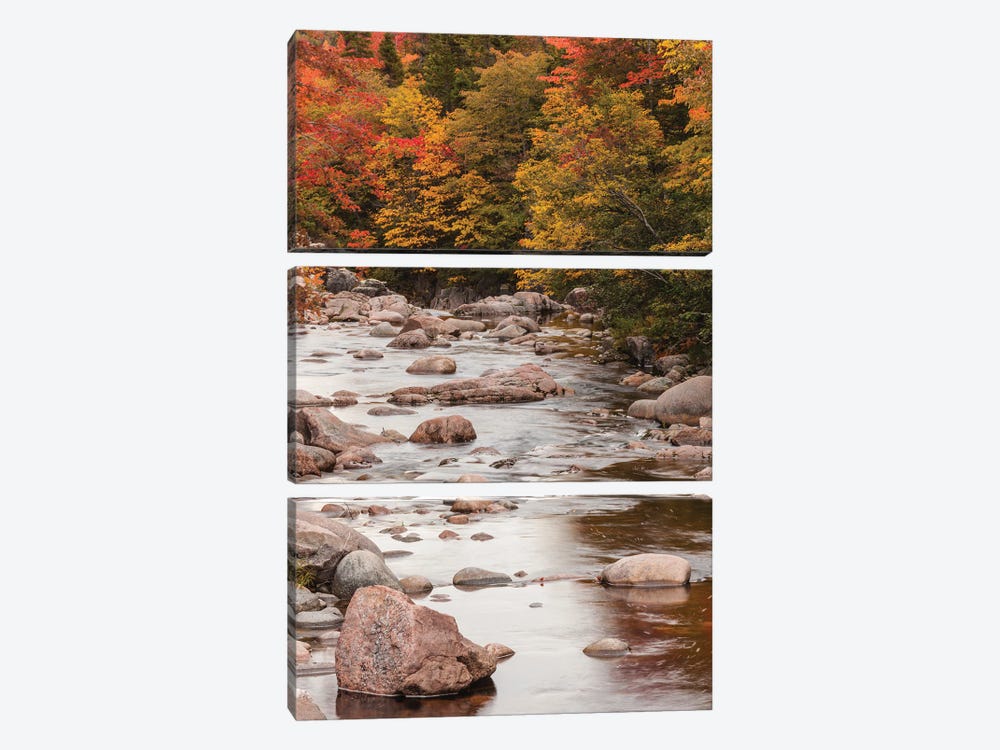 Canada, Nova Scotia, Cabot Trail. Neils Harbour, Cape Breton Highlands National Park, small stream in autumn. by Walter Bibikow 3-piece Canvas Art