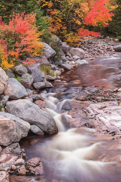 Canada, Nova Scotia, Cabot Trail. Neils Harbour, Cape Breton Highlands National Park, small stream in autumn.