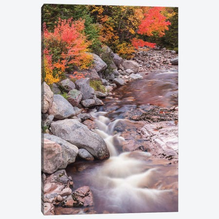 Canada, Nova Scotia, Cabot Trail. Neils Harbour, Cape Breton Highlands National Park, small stream in autumn. Canvas Print #WBI196} by Walter Bibikow Canvas Print