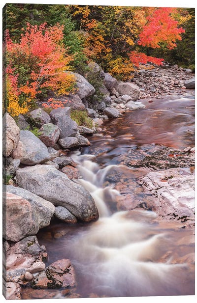 Canada, Nova Scotia, Cabot Trail. Neils Harbour, Cape Breton Highlands National Park, small stream in autumn. Canvas Art Print - Walter Bibikow