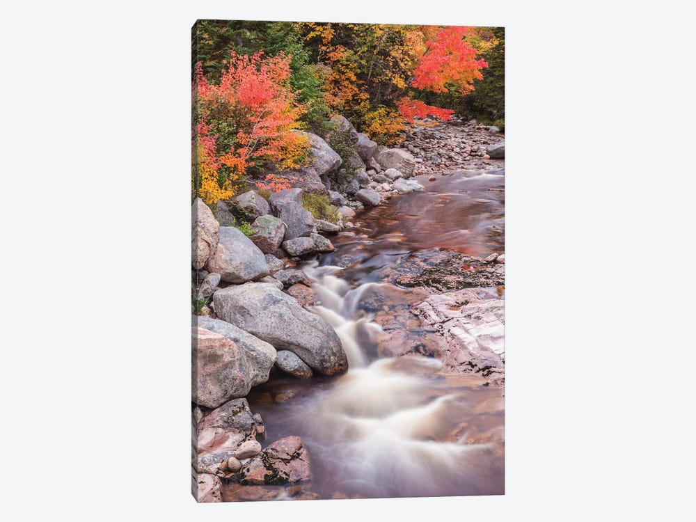 Canada, Nova Scotia, Cabot Trail. Neils Harbour, Cape Breton Highlands National Park, small stream in autumn. by Walter Bibikow 1-piece Canvas Print