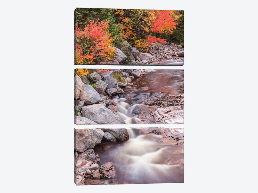 Canada, Nova Scotia, Cabot Trail. Neils Harbour, Cape Breton Highlands National Park, small stream in autumn. by Walter Bibikow 3-piece Art Print