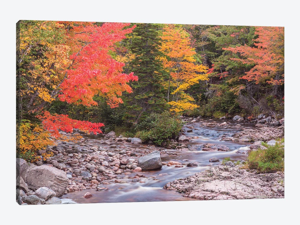 Canada, Nova Scotia, Cabot Trail. Neils Harbour, Cape Breton Highlands National Park, small stream in autumn. by Walter Bibikow 1-piece Canvas Wall Art