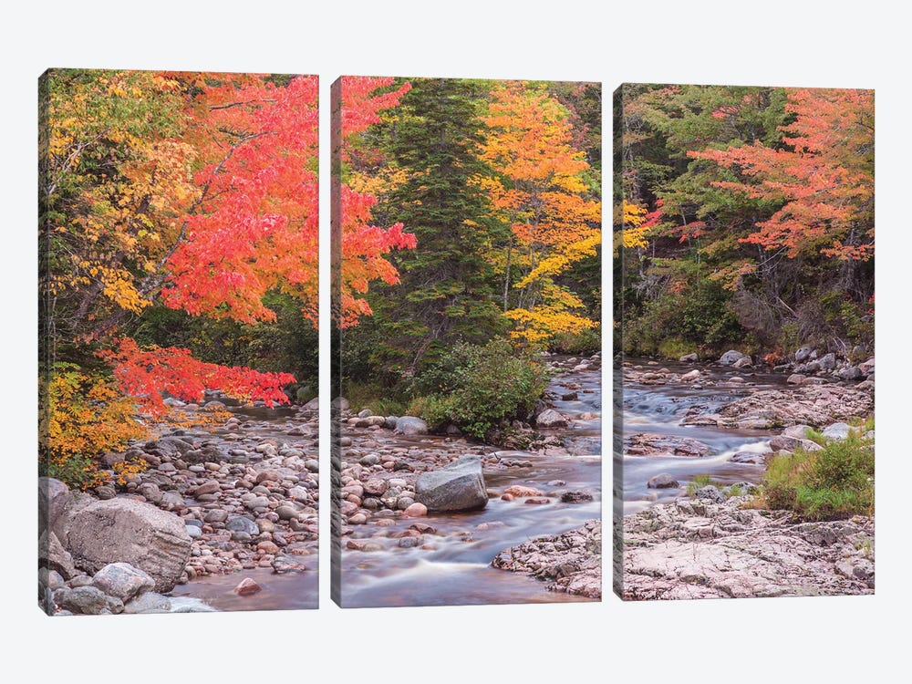 Canada, Nova Scotia, Cabot Trail. Neils Harbour, Cape Breton Highlands National Park, small stream in autumn. by Walter Bibikow 3-piece Canvas Artwork