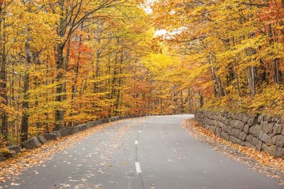 USA, Maine, Mt. Desert Island. Acadia National Park road. by Walter Bibikow framed canvas print