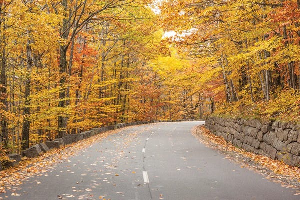 Walter Bibikow: USA, Maine, Mt. Desert Island. Acadia National Park road. by Walter Bibikow