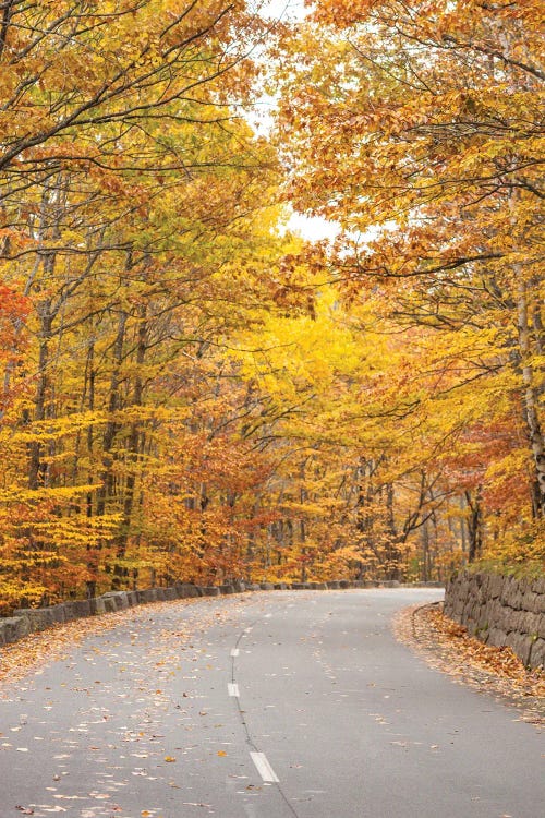 USA, Maine, Mt. Desert Island. Acadia National Park road.