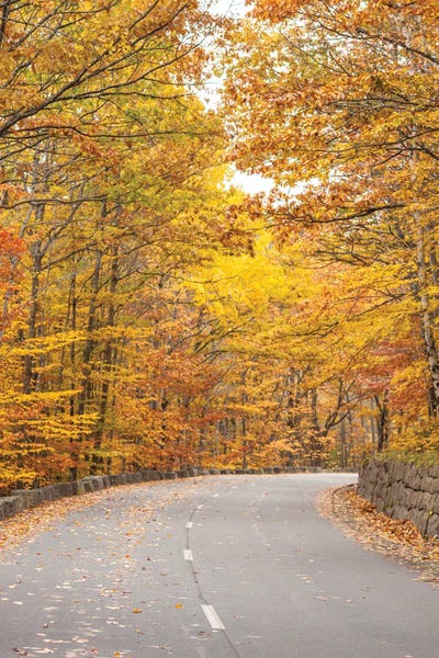 USA, Maine, Mt. Desert Island. Acadia National Park road.
