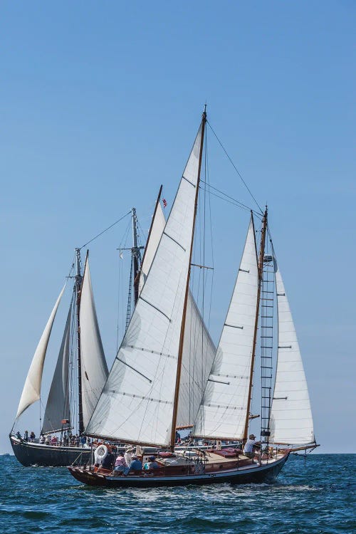 USA, Massachusetts, Cape Ann, Gloucester. Gloucester Schooner Festival, schooner parade of sail.