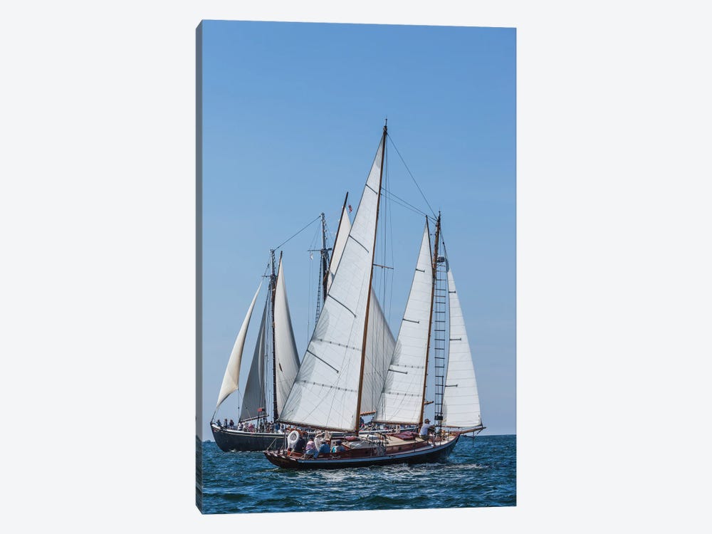USA, Massachusetts, Cape Ann, Gloucester. Gloucester Schooner Festival, schooner parade of sail. by Walter Bibikow 1-piece Art Print