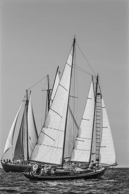 USA, Massachusetts, Cape Ann, Gloucester. Gloucester Schooner Festival, schooner parade of sail. by Walter Bibikow wall art