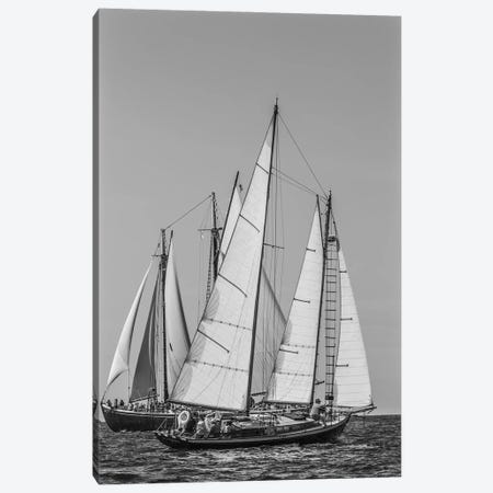 USA, Massachusetts, Cape Ann, Gloucester. Gloucester Schooner Festival, schooner parade of sail. Canvas Print #WBI211} by Walter Bibikow Canvas Print