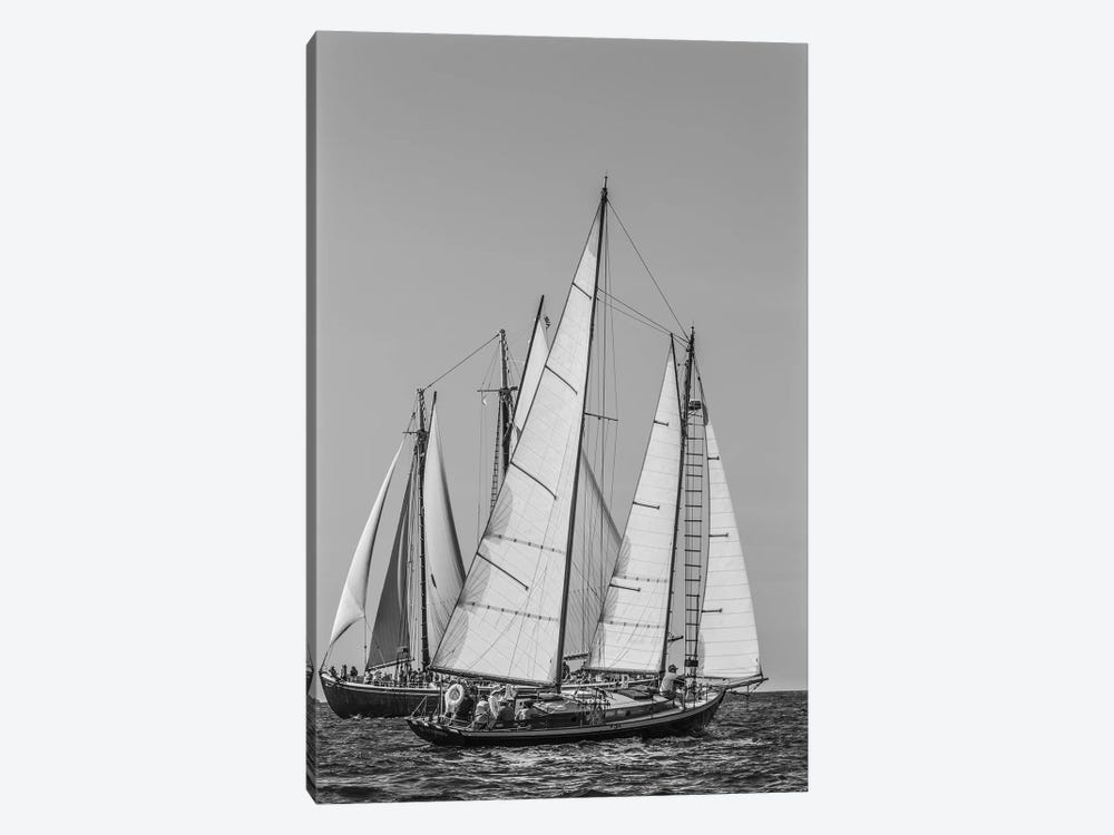 USA, Massachusetts, Cape Ann, Gloucester. Gloucester Schooner Festival, schooner parade of sail. by Walter Bibikow 1-piece Canvas Artwork