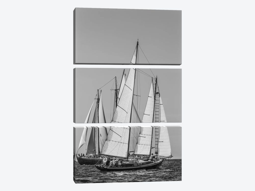 USA, Massachusetts, Cape Ann, Gloucester. Gloucester Schooner Festival, schooner parade of sail. by Walter Bibikow 3-piece Canvas Art