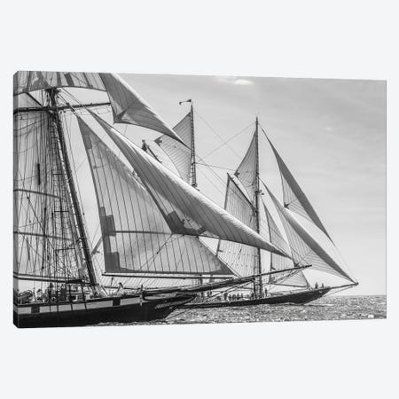USA, Massachusetts, Cape Ann, Gloucester. Gloucester Schooner Festival, schooner parade of sail. Canvas Print #WBI212} by Walter Bibikow Art Print