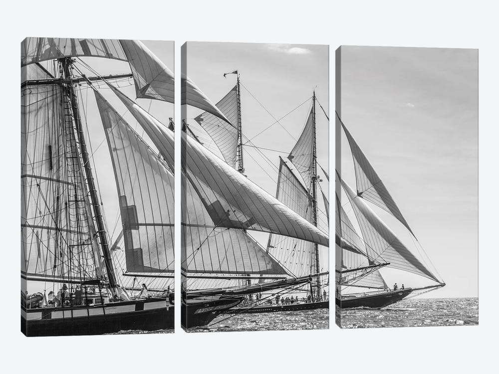 USA, Massachusetts, Cape Ann, Gloucester. Gloucester Schooner Festival, schooner parade of sail. by Walter Bibikow 3-piece Canvas Print