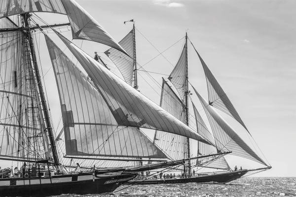USA, Massachusetts, Cape Ann, Gloucester. Gloucester Schooner Festival, schooner parade of sail.