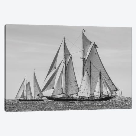 USA, Massachusetts, Cape Ann, Gloucester. Gloucester Schooner Festival, schooner parade of sail. Canvas Print #WBI215} by Walter Bibikow Canvas Wall Art