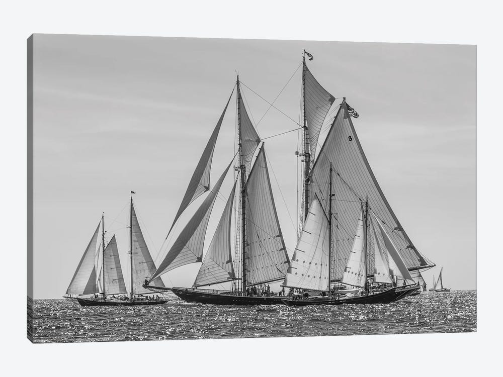 USA, Massachusetts, Cape Ann, Gloucester. Gloucester Schooner Festival, schooner parade of sail. by Walter Bibikow 1-piece Canvas Wall Art