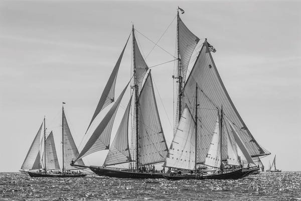 USA, Massachusetts, Cape Ann, Gloucester. Gloucester Schooner Festival, schooner parade of sail.