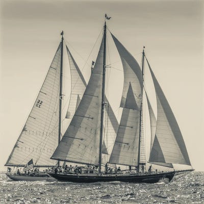 USA, Massachusetts, Cape Ann, Gloucester. Gloucester Schooner Festival, schooner parade of sail. by Walter Bibikow art print