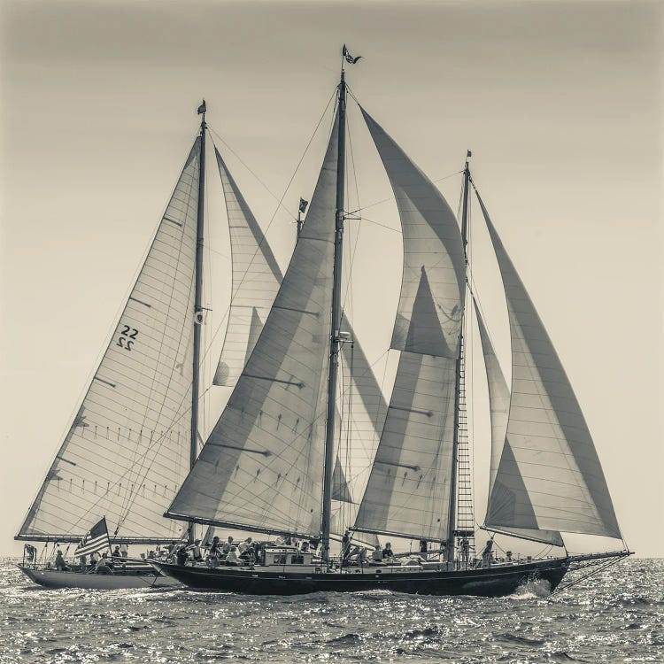 USA, Massachusetts, Cape Ann, Gloucester. Gloucester Schooner Festival, schooner parade of sail.