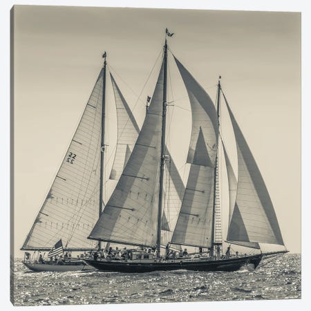 USA, Massachusetts, Cape Ann, Gloucester. Gloucester Schooner Festival, schooner parade of sail. Canvas Print #WBI216} by Walter Bibikow Canvas Art