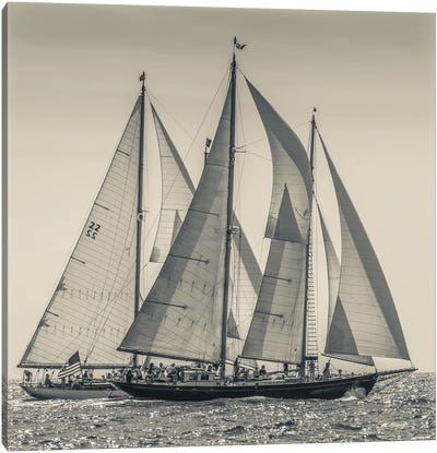 USA, Massachusetts, Cape Ann, Gloucester. Gloucester Schooner Festival, schooner parade of sail. Canvas Art Print - Walter Bibikow