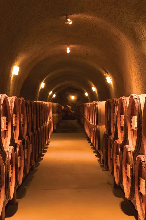 Winery Cask Room, Pine Ridge Vineyards, Napa Valley AVA, California, USA