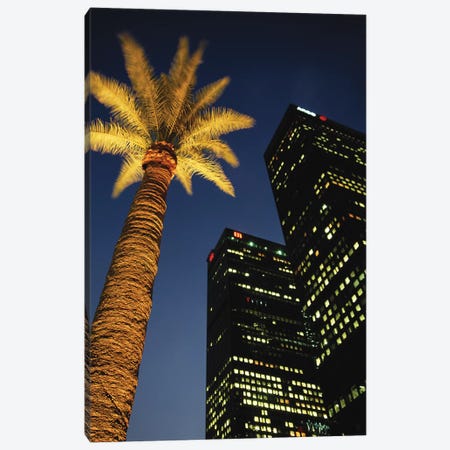 Low-Angle View Of An Illuminated Palm Tree, Los Angeles, California, USA Canvas Print #WBI40} by Walter Bibikow Canvas Art Print