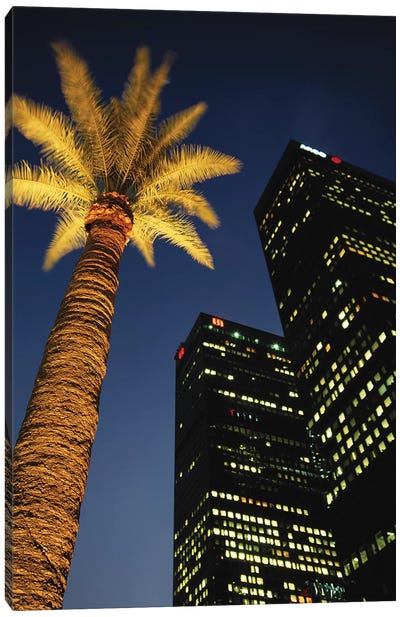Low-Angle View Of An Illuminated Palm Tree, Los Angeles, California, USA Canvas Art Print - Walter Bibikow