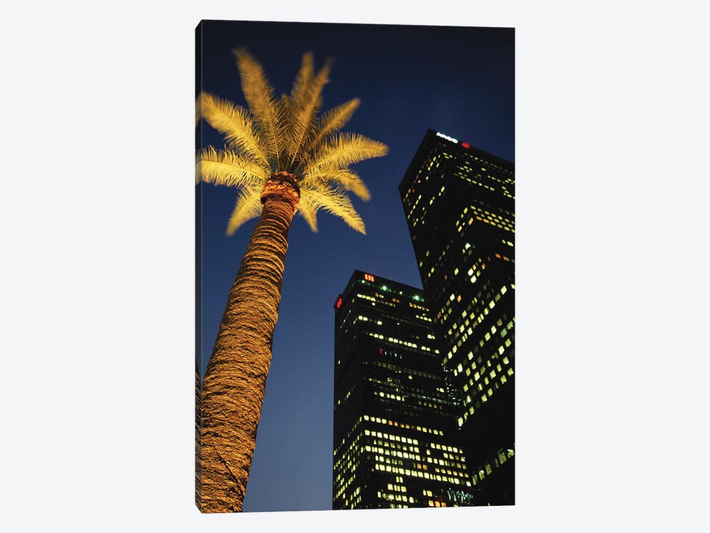 Low-Angle View Of An Illuminated Palm Tree, Los Angeles, California, USA by Walter Bibikow 1-piece Canvas Wall Art