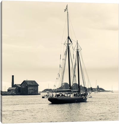 Roseway During The Gloucester Schooner Festival, Gloucester Harbor, Gloucester, Massachusetts, USA Canvas Art Print - Boating & Sailing Art