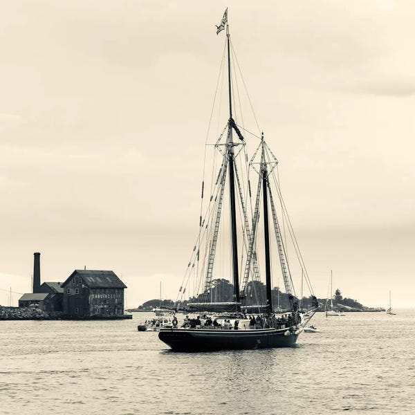 Roseway During The Gloucester Schooner Festival, Gloucester Harbor, Gloucester, Massachusetts, USA